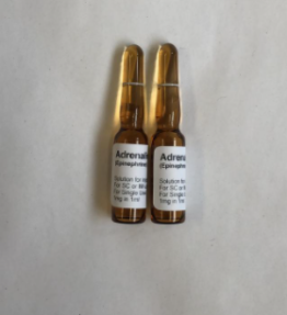 Adrenaline 1ml vial English label